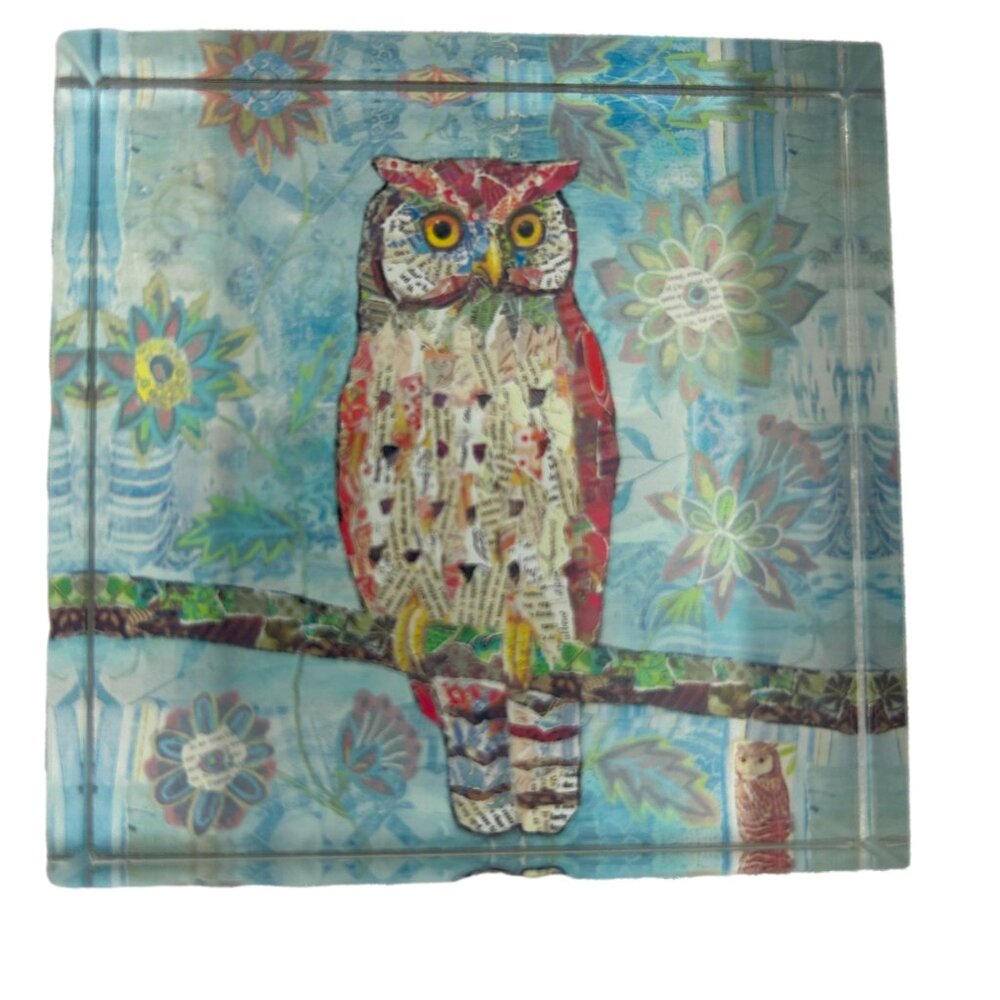Creative Co-op Owl Acrylic Paperweight Aqua Orange Whimsical Desk Office Decor